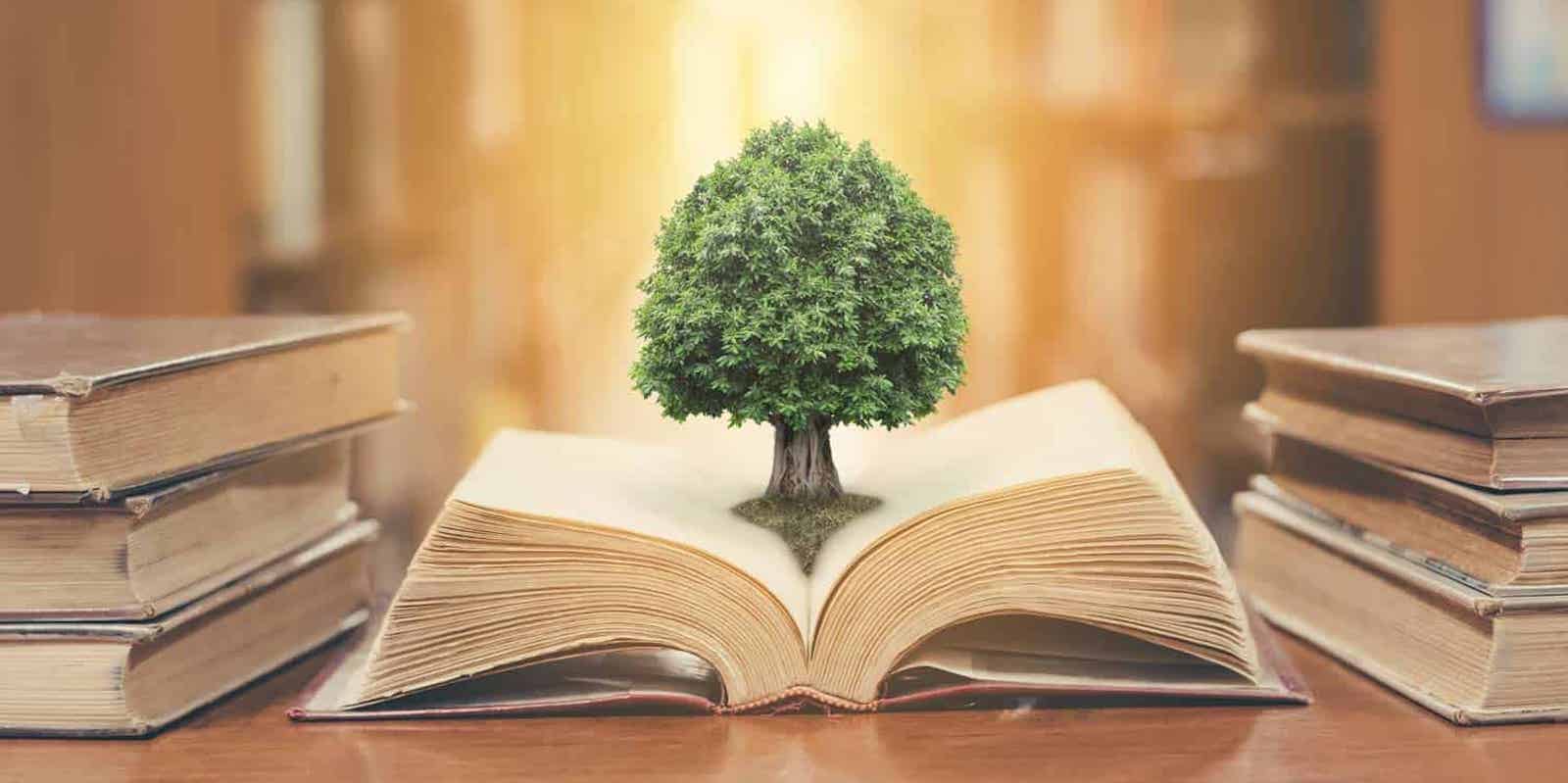 14. Filosofía de la educación en México