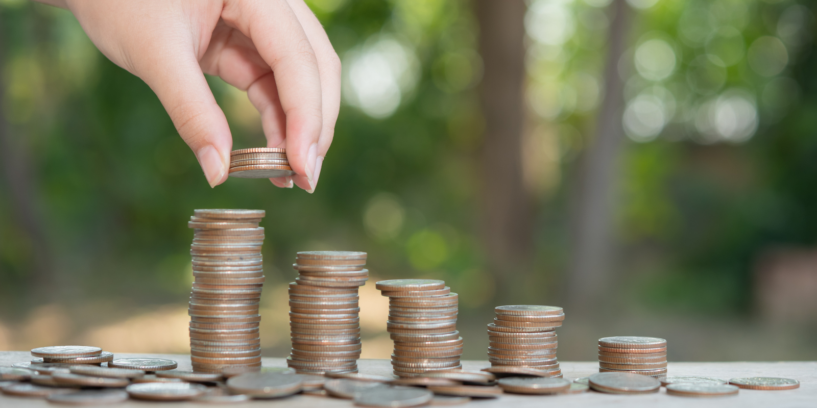 13. Administración y finanzas públicas