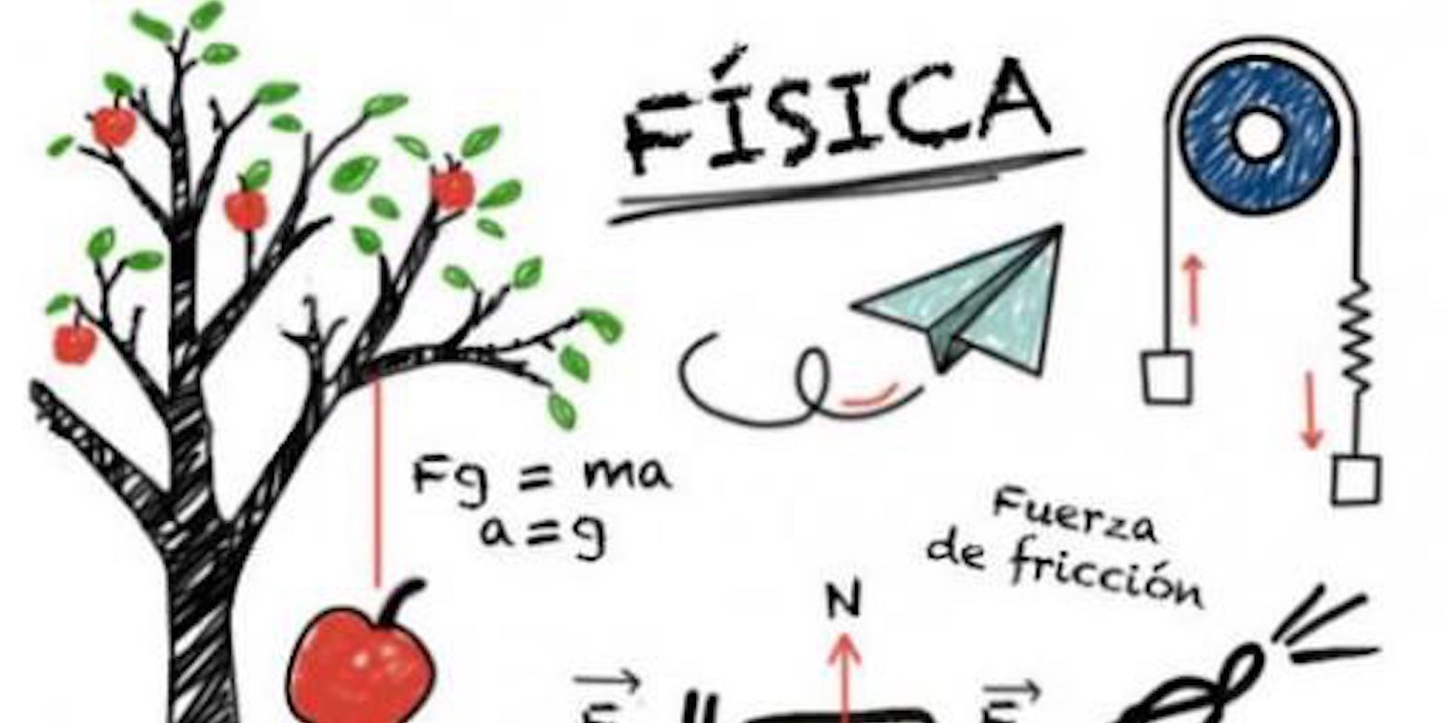 17. Física 2