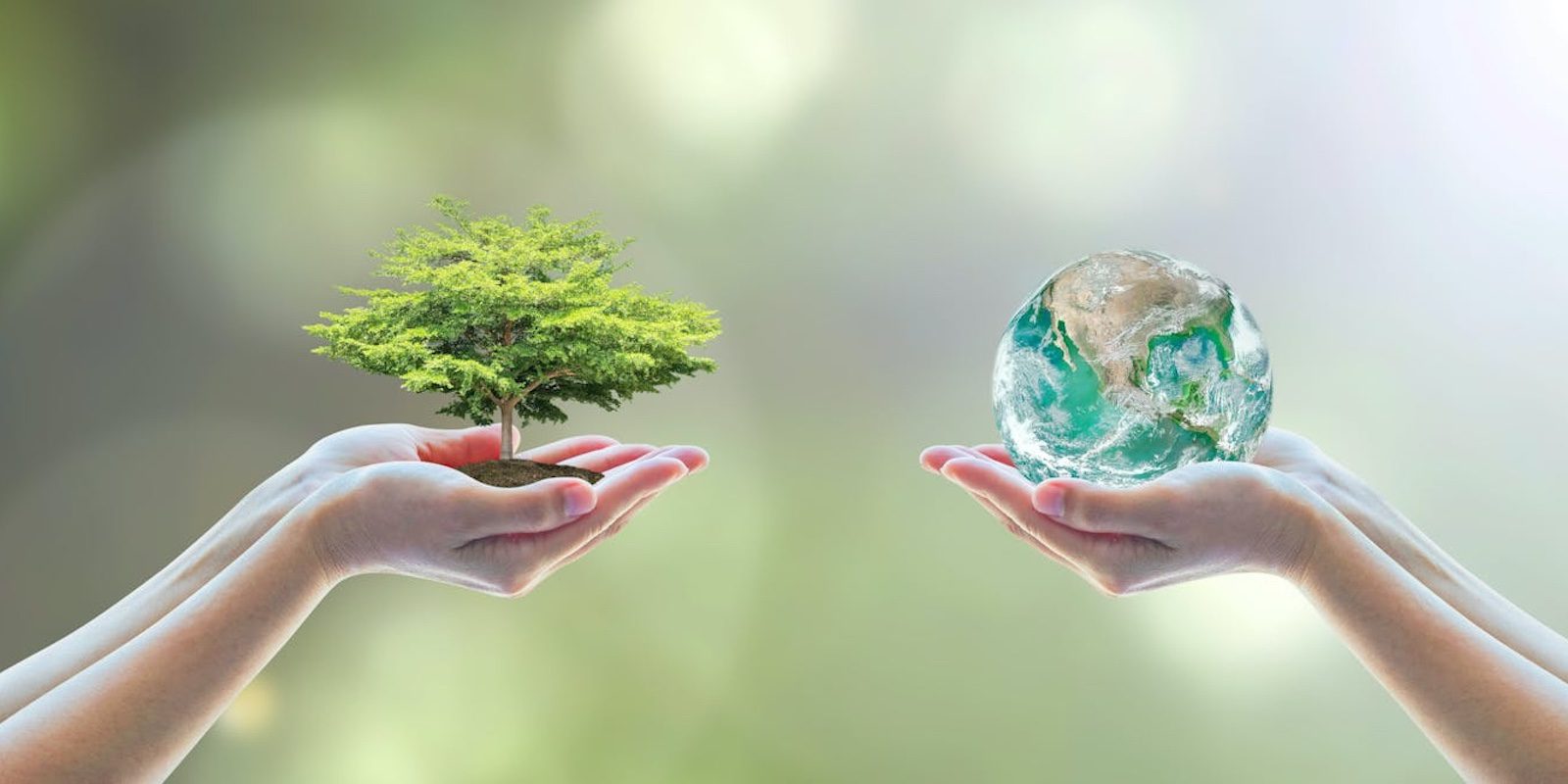 11. Ecología y Medio Ambiente